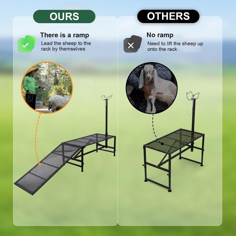 Livestock Stand Goat Milking Trimming Stand W/Ramp Adjust Height Nose Loop