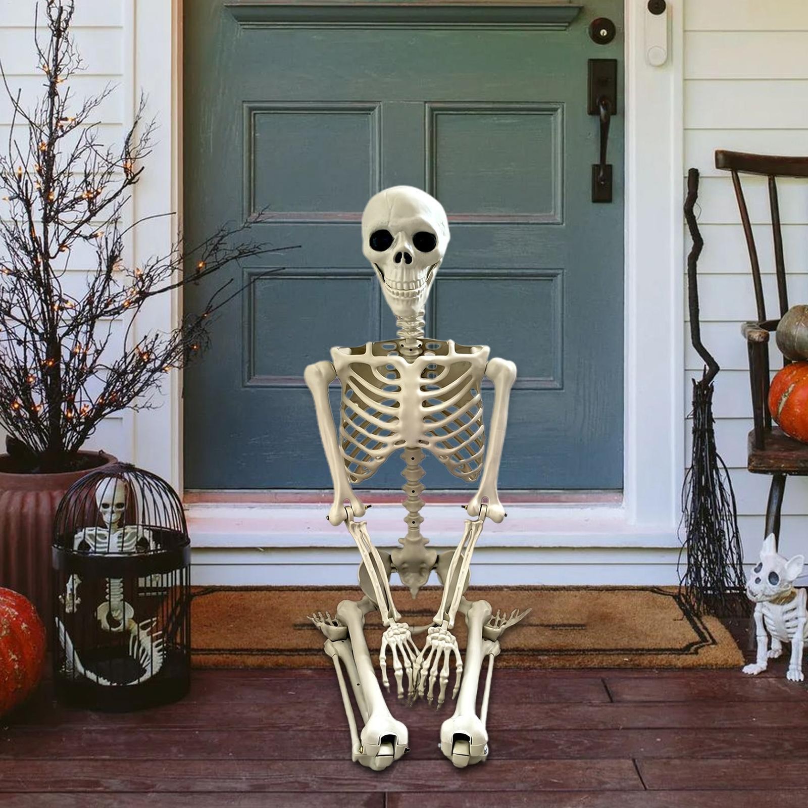 Halloween Realistic Body Bones Life Size Human Skeleton with Posable Joints