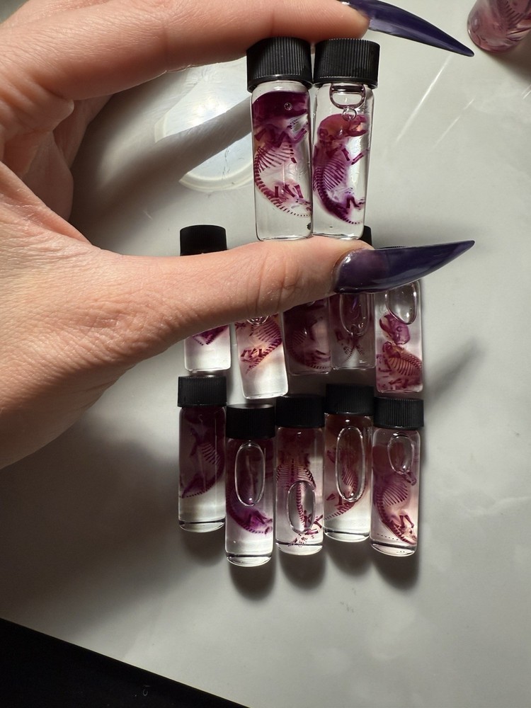 Diaphonized pinky mice