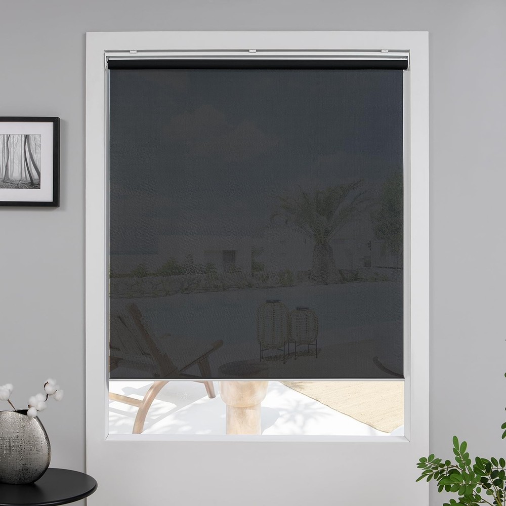 Cordless Roller Shades for Windows,Light Filtering Pull Down Blinds,Solar Scr...