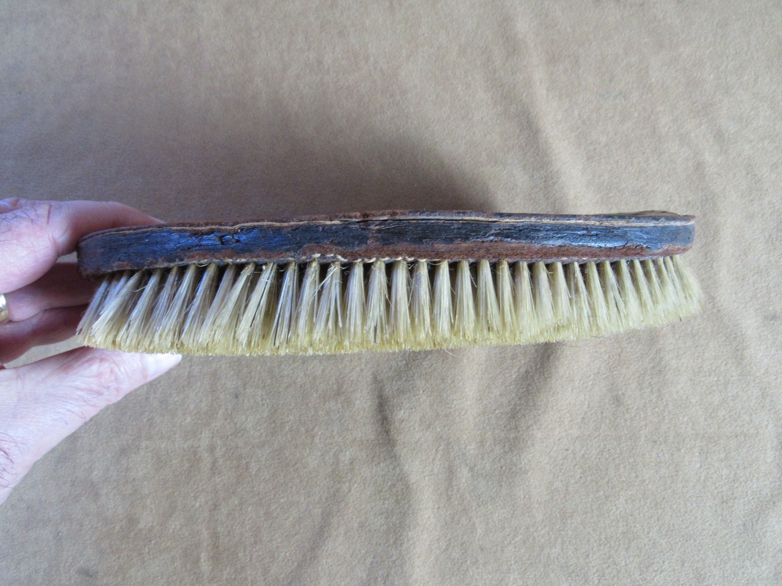 Civil War Patriotic Eagle Our Bird Leather US Cavalry Horse Grooming Brush 1860s