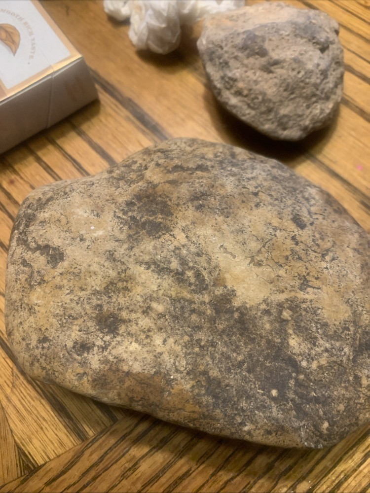 Fossils