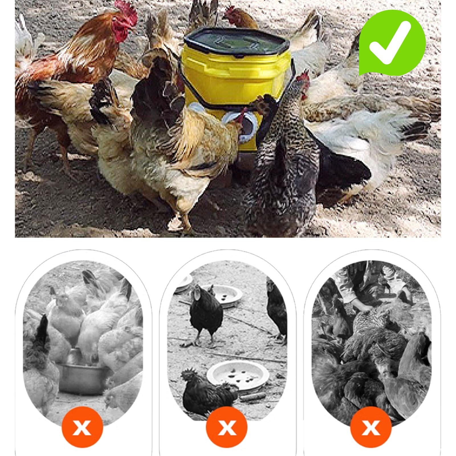 4pcs Chicken feeder Automatic Feeders No Waste port for feeding