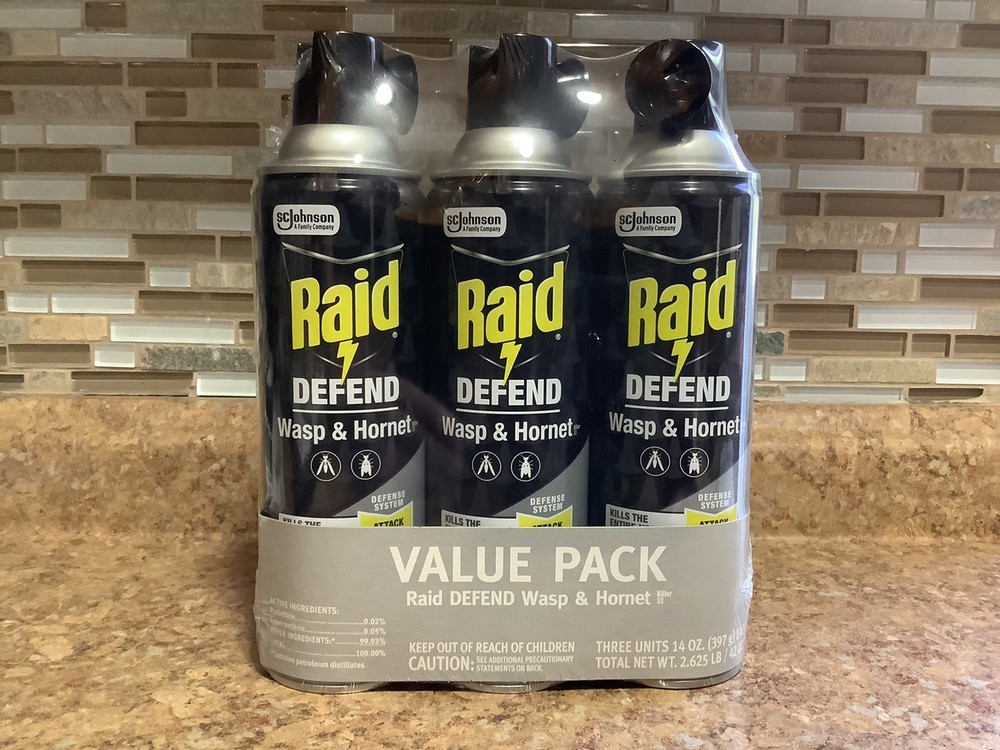 Raid DEFEND Wasp & Hornet Spray