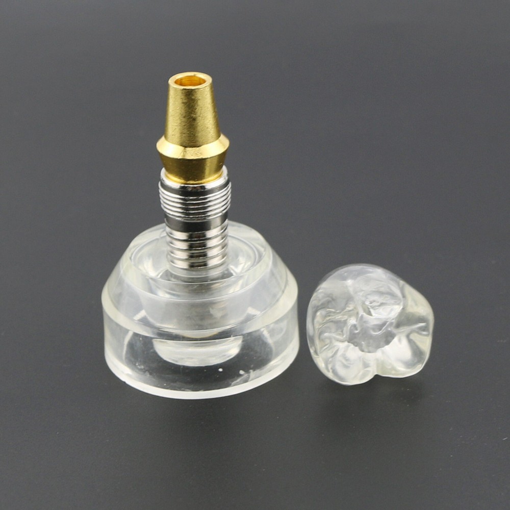 Dental Implant DemonstrationTeeth Study Teach Crown Model Acrylic Teeth Study
