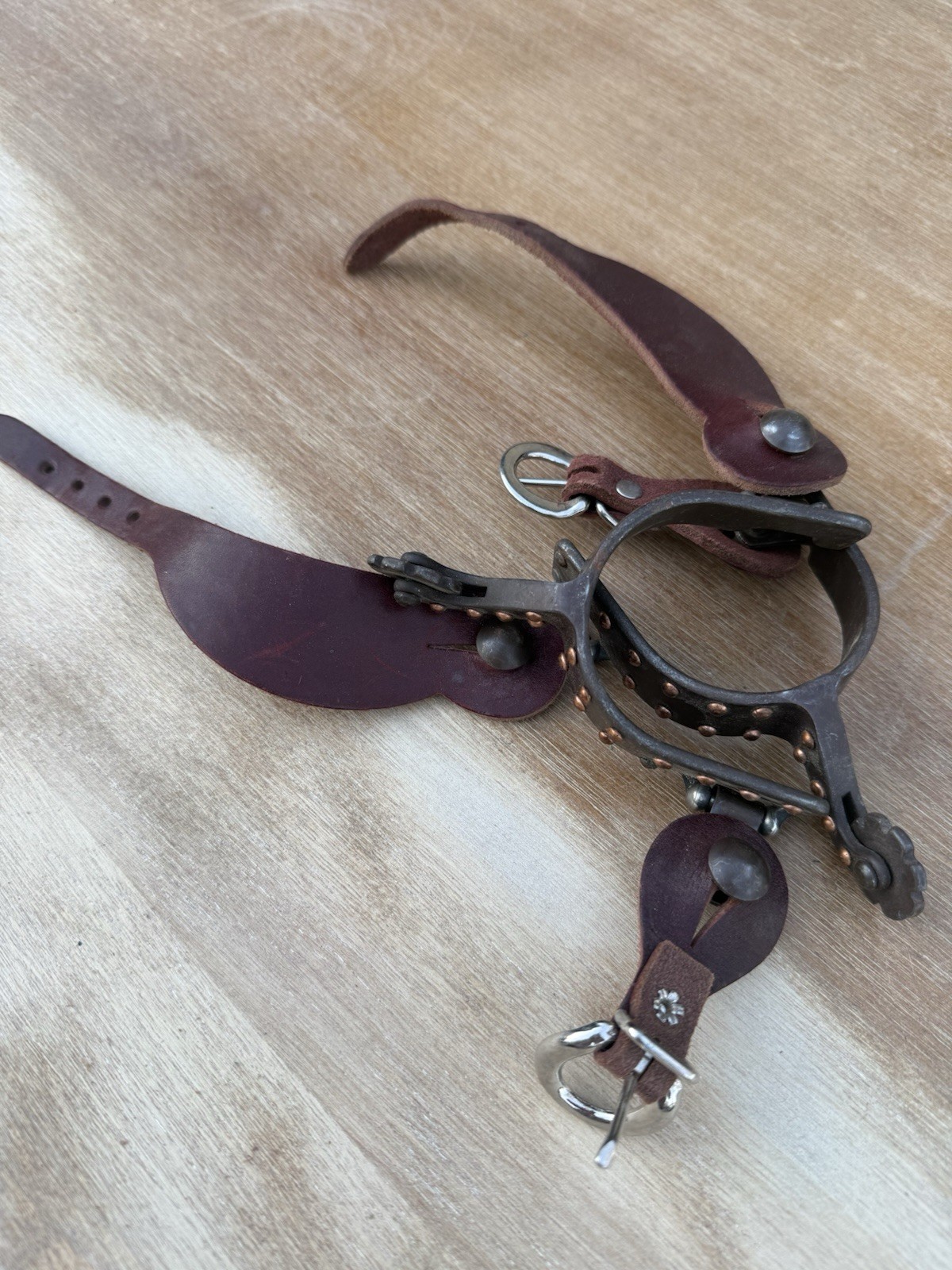 Used Horse Tack Lot For Sale