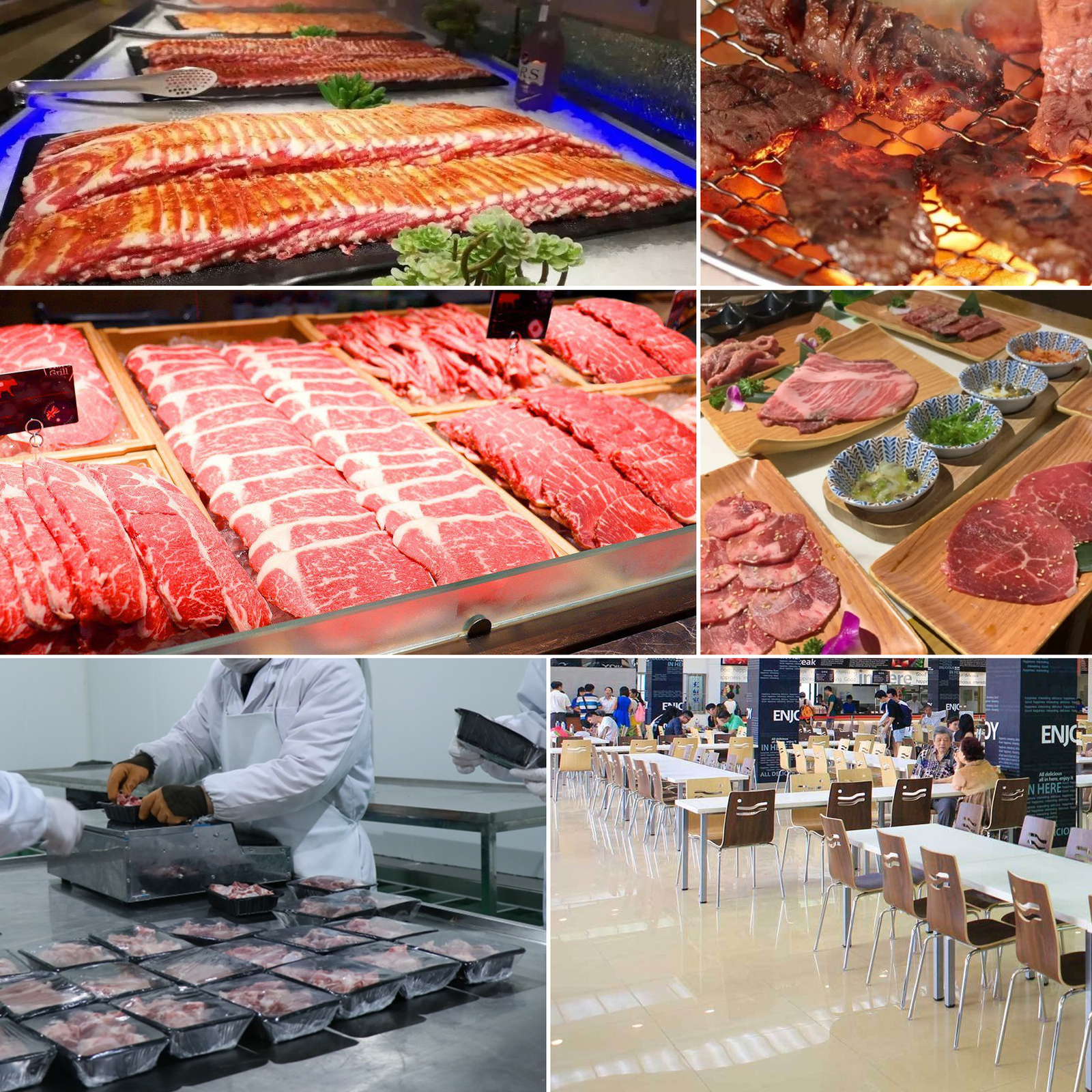 QE Meat Cutting Machine 110V Meat Cutter Slicer with 3/5mm Blade 500KG/H Output