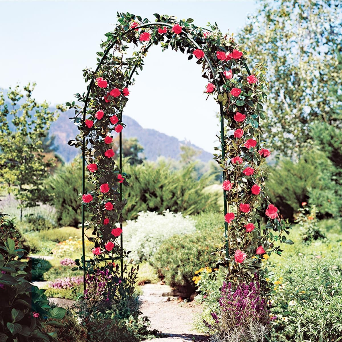 Heavy Duty Metal Garden Arch Rose Archway Pergola Arbour Climbing Plants Trellis