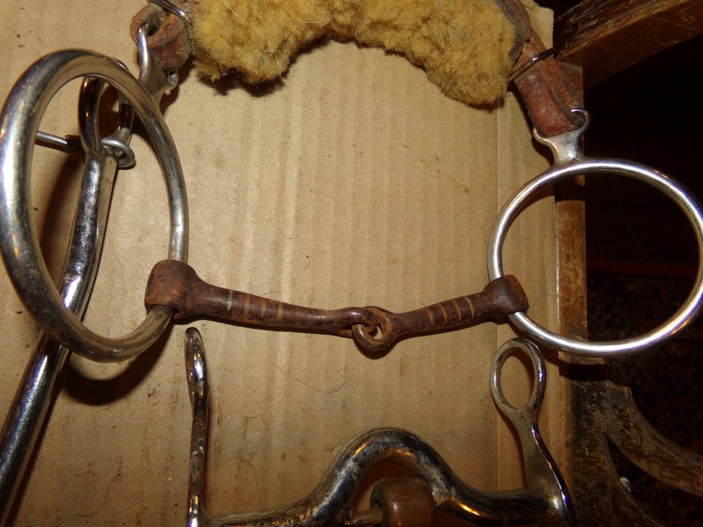 4 Different Vintage Horse Bits Hackamore, Sweet Iron Snaffle, Copper Roller