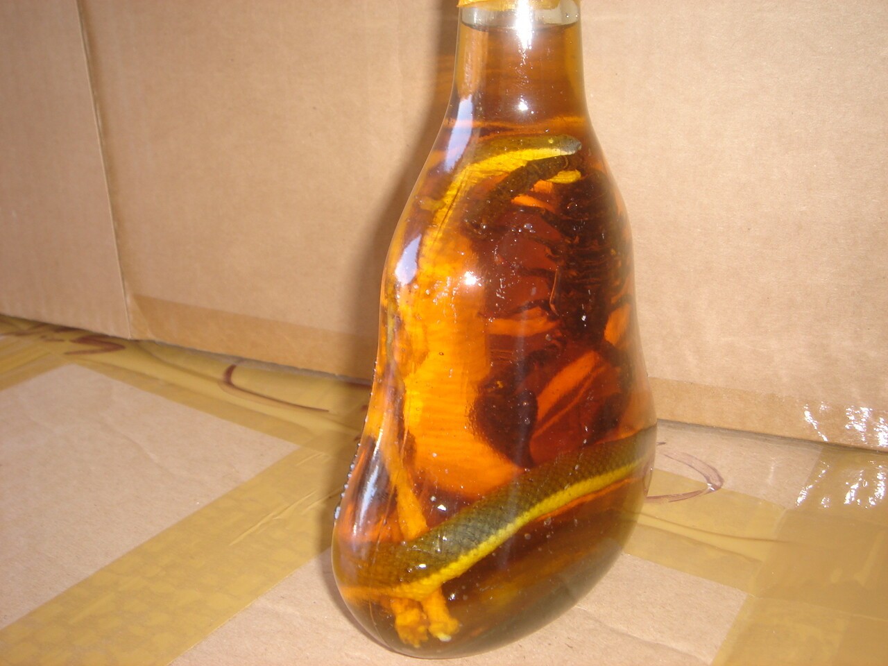 Real Cobra Snake And Scorpion In Large X O Glass Bottle 7" Tall