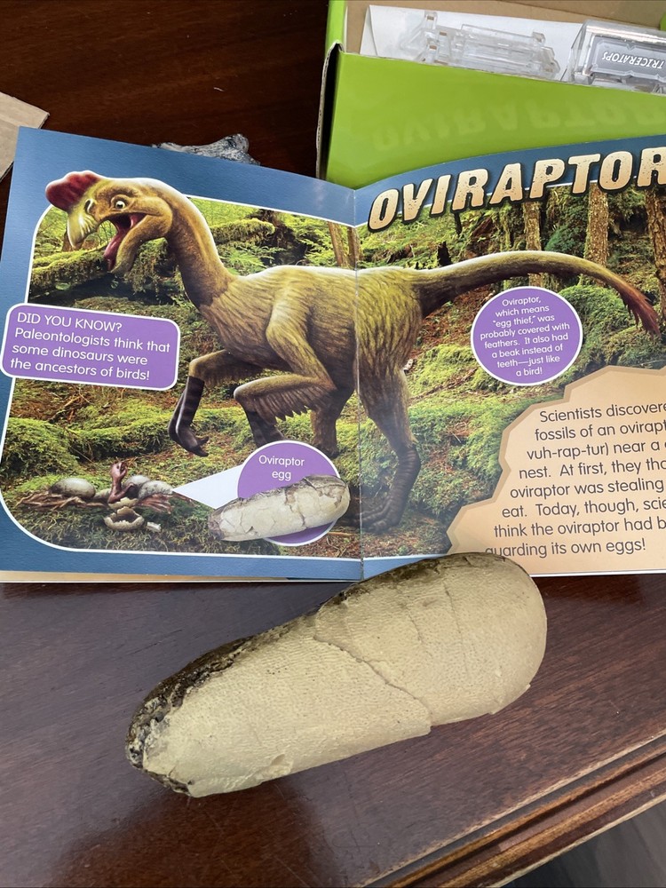 Amazing Dinosaurs! Exploration Kit Lakeshore Learning
