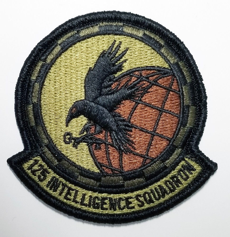 U.S. Air Force 125th Intelligence Squadron Subdued Hook Back Patch