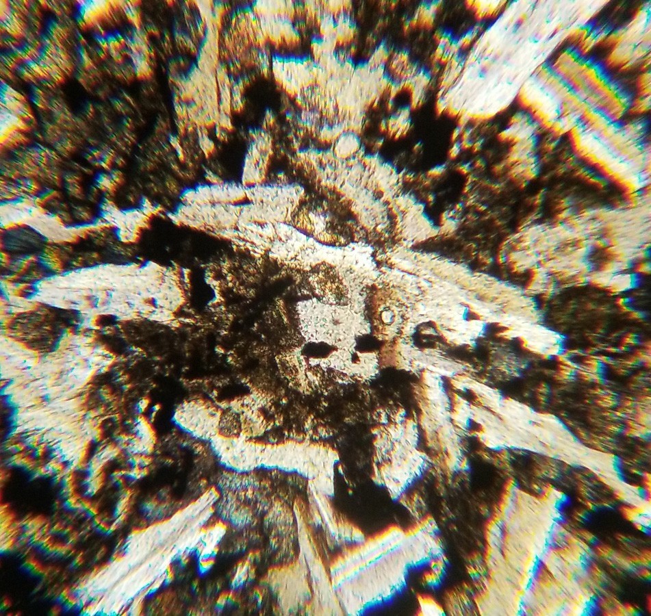 Thin-section Mount from DSDP Hole 292 Petrographic Microscope Slide 31-292-45-3