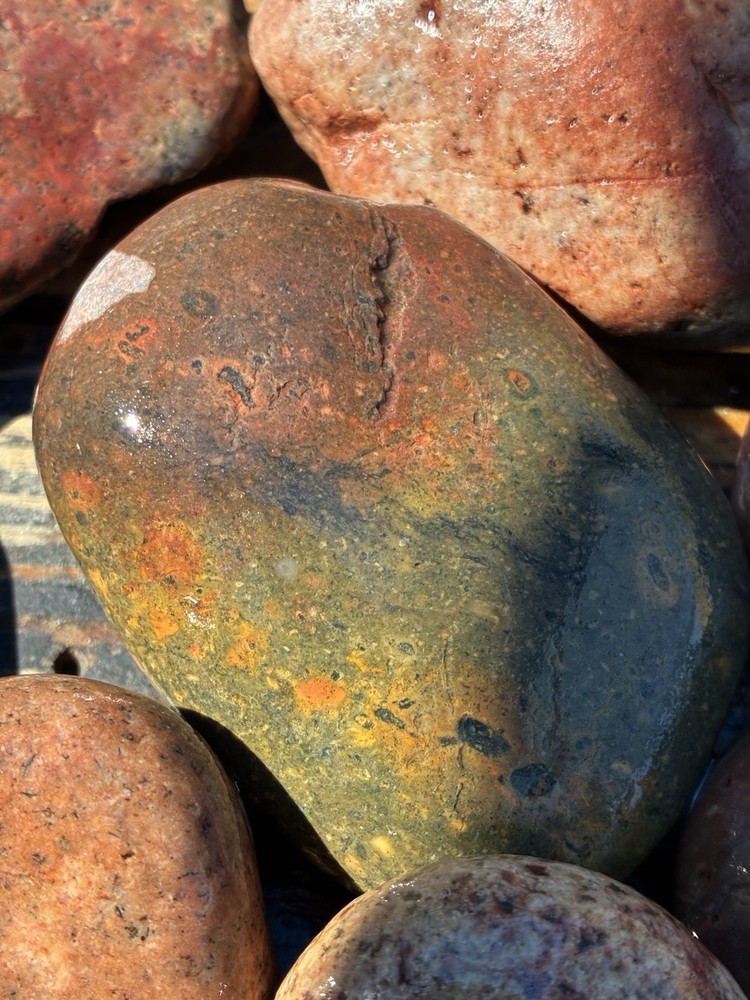 JASPER~ Solid ~Rocks For Sale Rough 3 Lbs