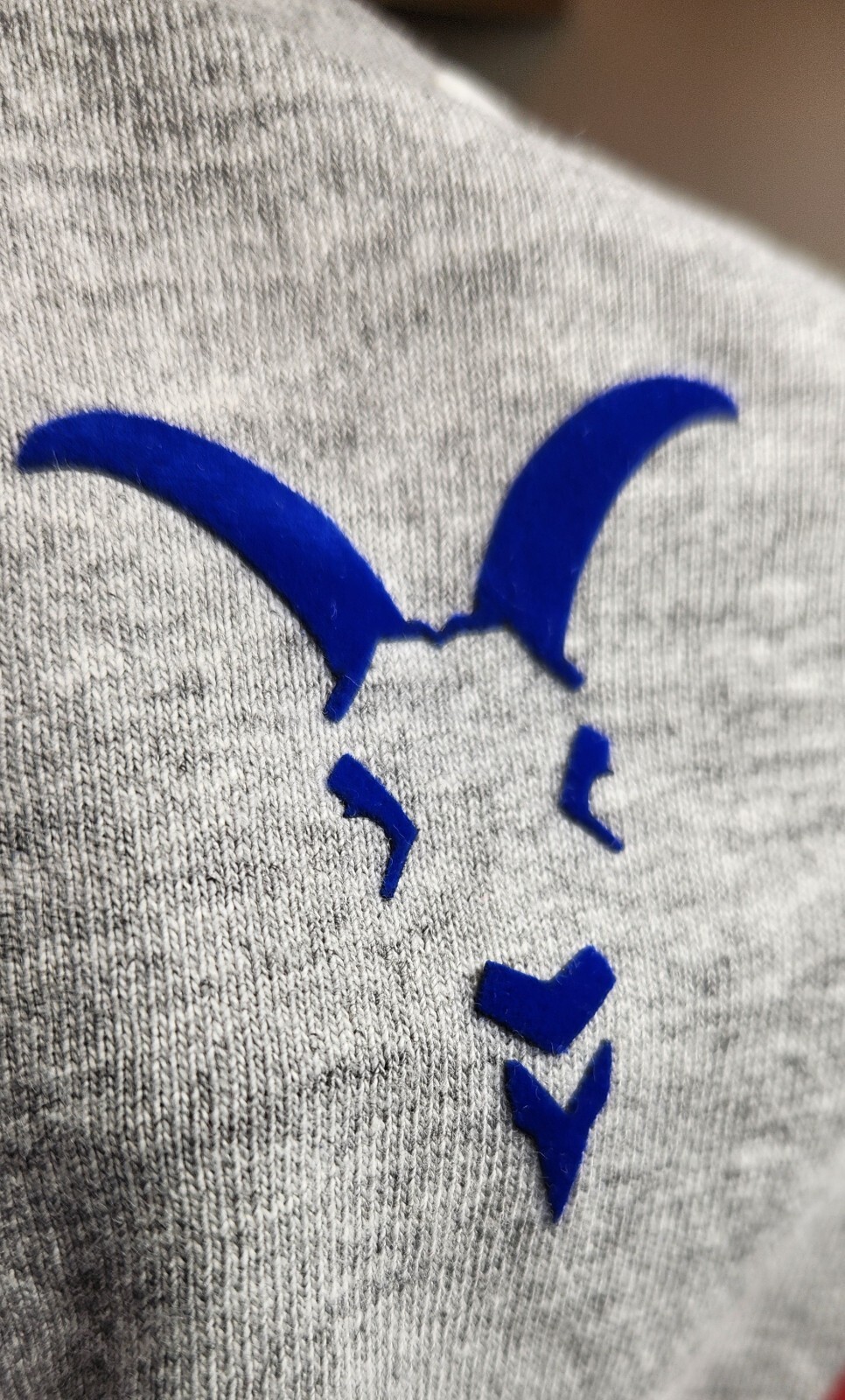 Las Chivas De Guadalajara Rebaño Iron-On Patches Liga MX Fútbol Mexicano Parche