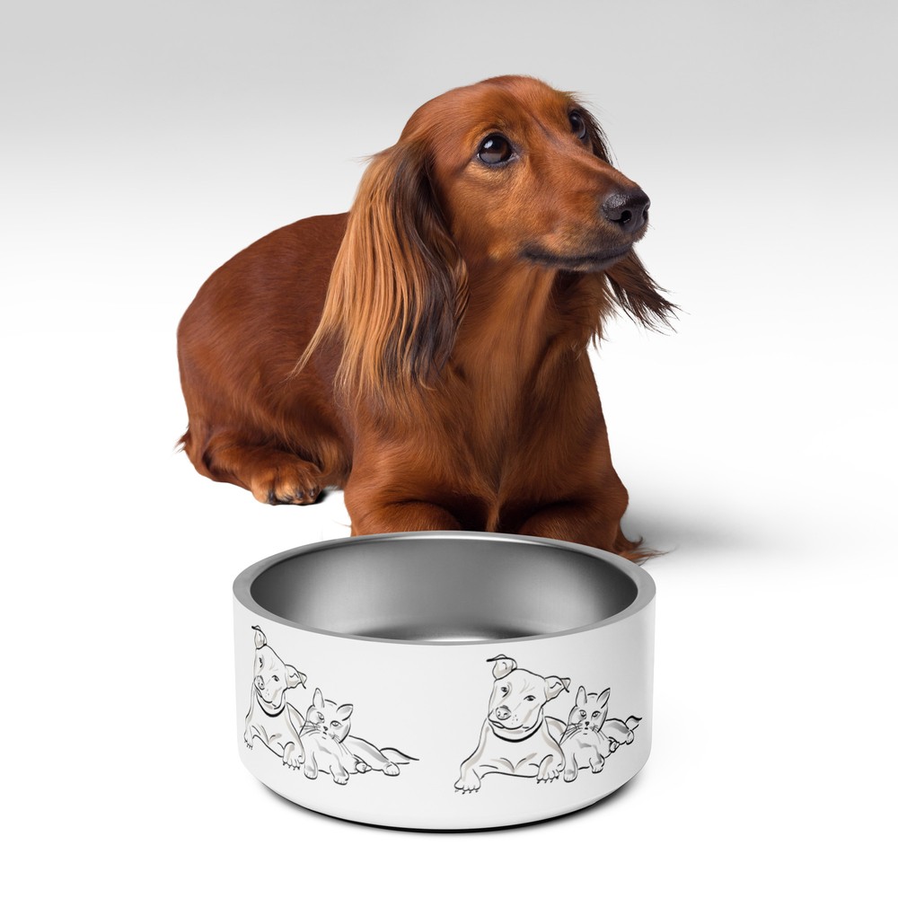 Dog and Cat Pet bowl