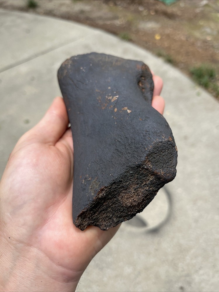 Fossilized Extinct Baleen Whale Rib Bone Fossil Segment- Not Modern (EB-13)