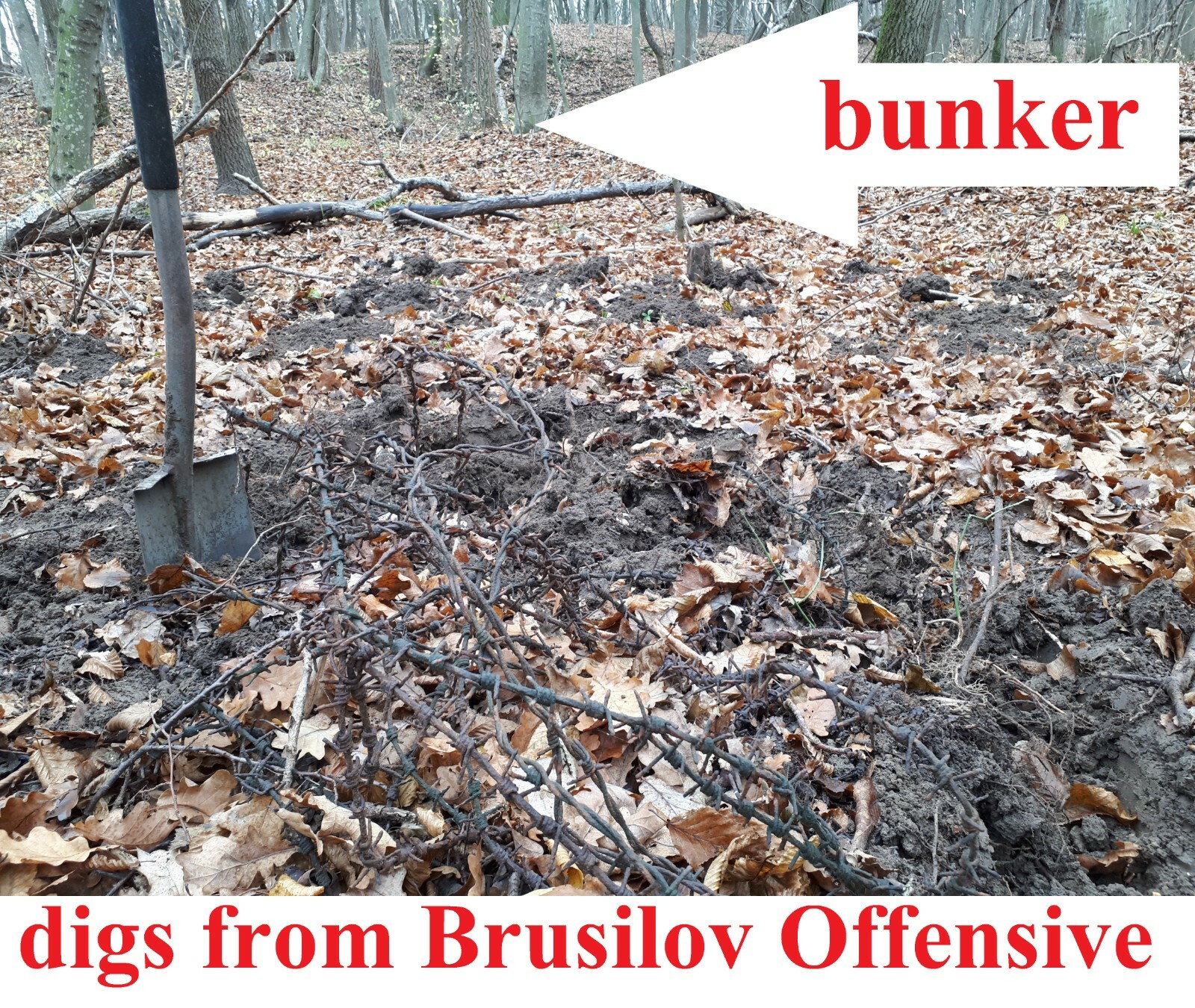 Barbed Wire WWI germany original WW1 dug barb battle relic vintage Great War