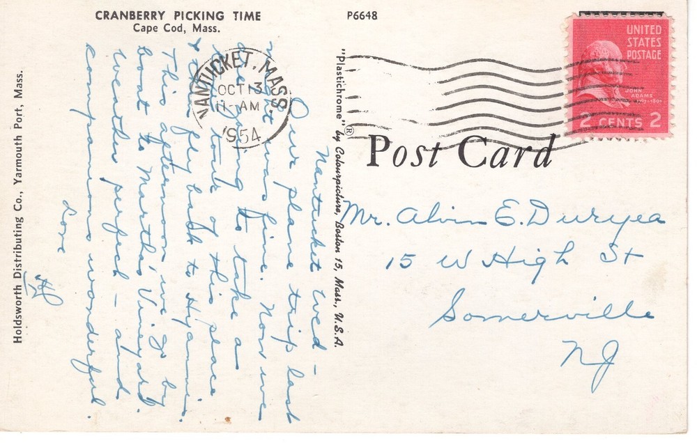 CRANBERRY PICKING TIME, CAPE COD, MA - PC5598