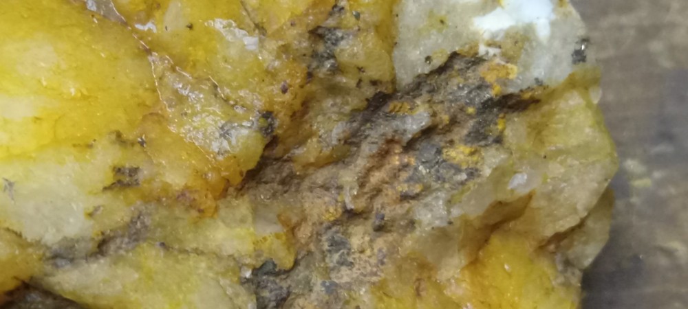 gold ore specimen 1lb.