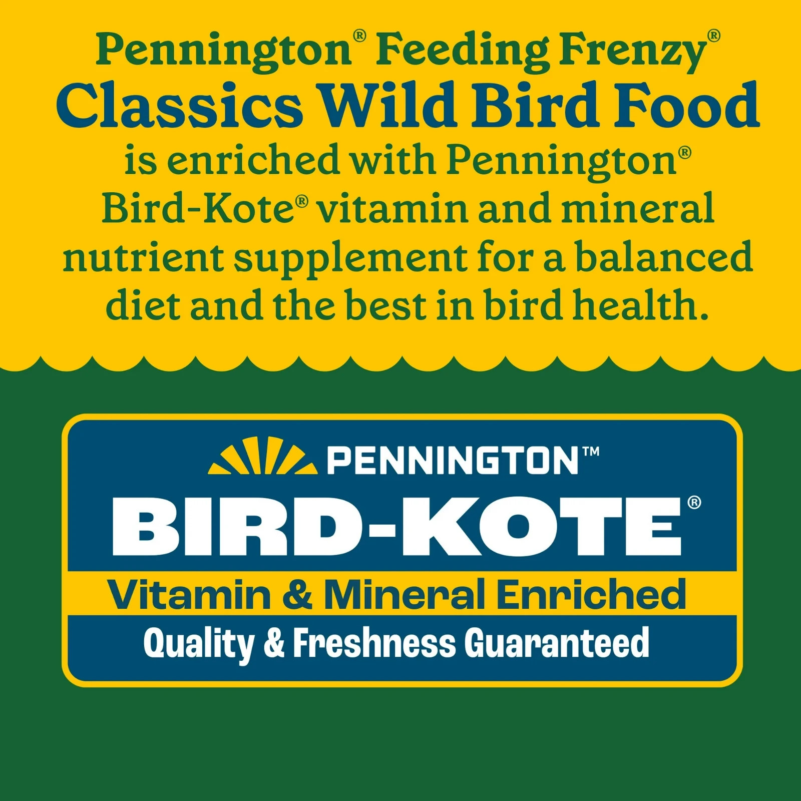 Pennington Classic Dry Wild Bird Feed and Wild Bird Seed, 5 lb. Bag, 1 Pack