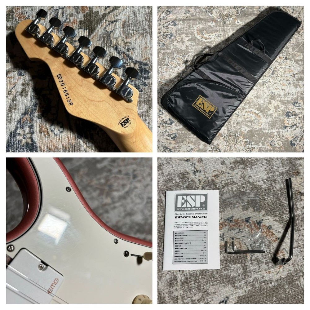 EDWARDS E-SNAPPER-7 Fuji Electric Gutiar [AUTH]