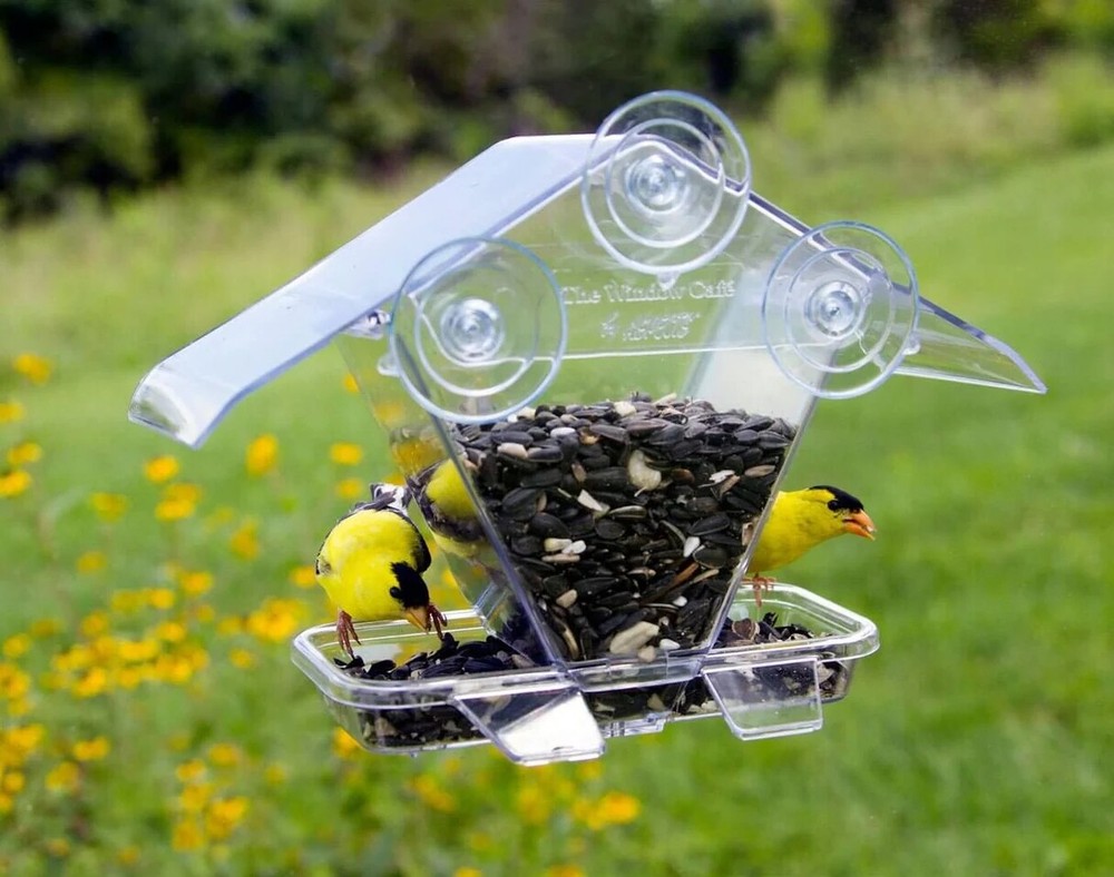 Aspects Window Cafe Bird Feeder 155