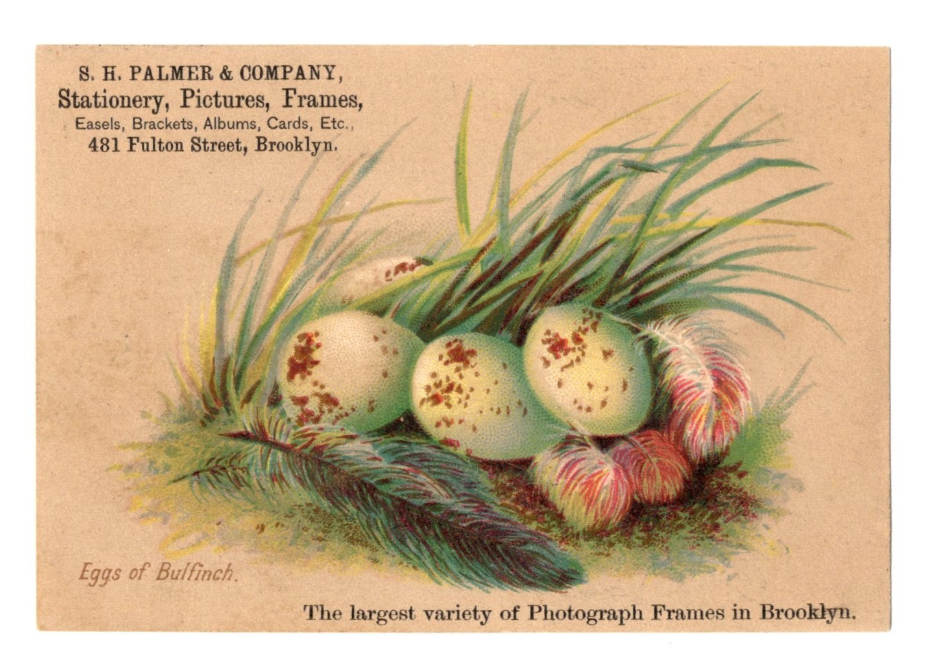 C1880-90s - S. H. Palmer & Company Framers Brooklyn NY Trade Card - XL2T