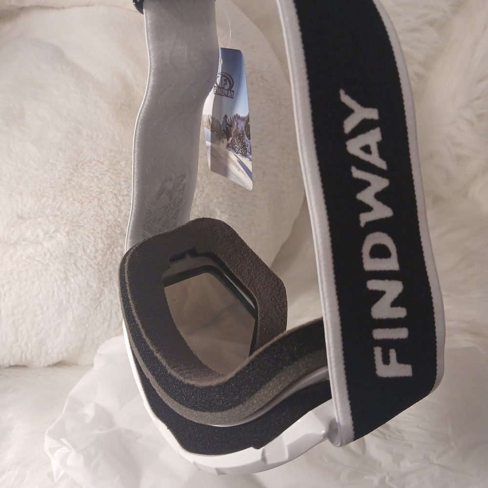 Ski Goggles