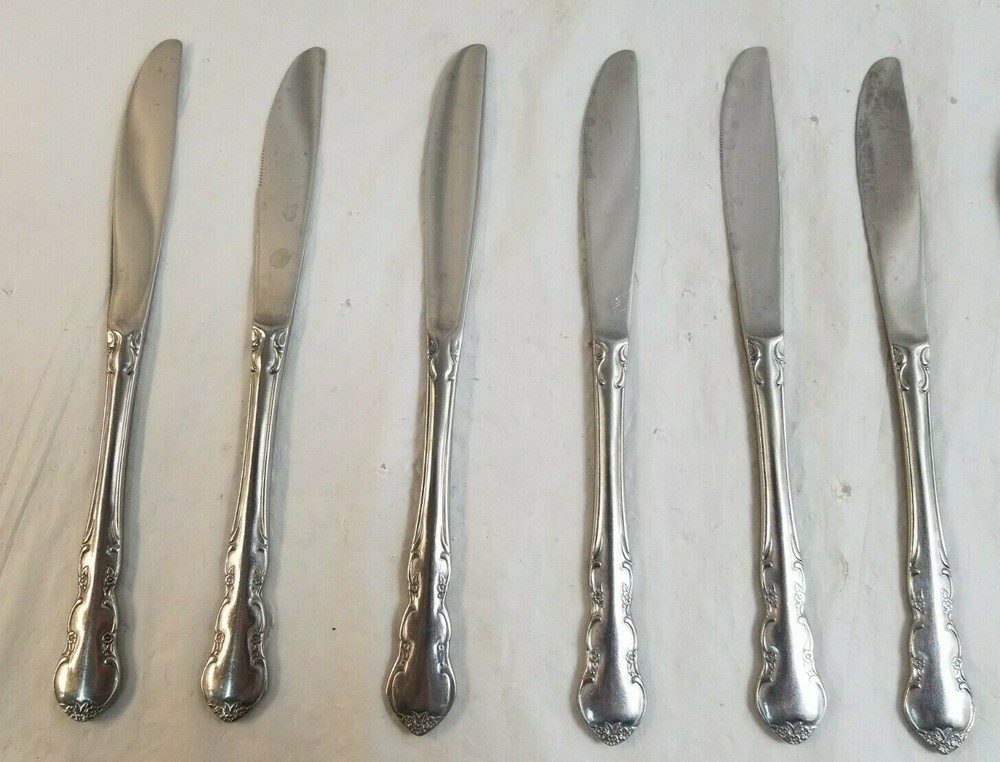14 Piece EKOO ETERNA Stainless Flatware Set Lot # 12