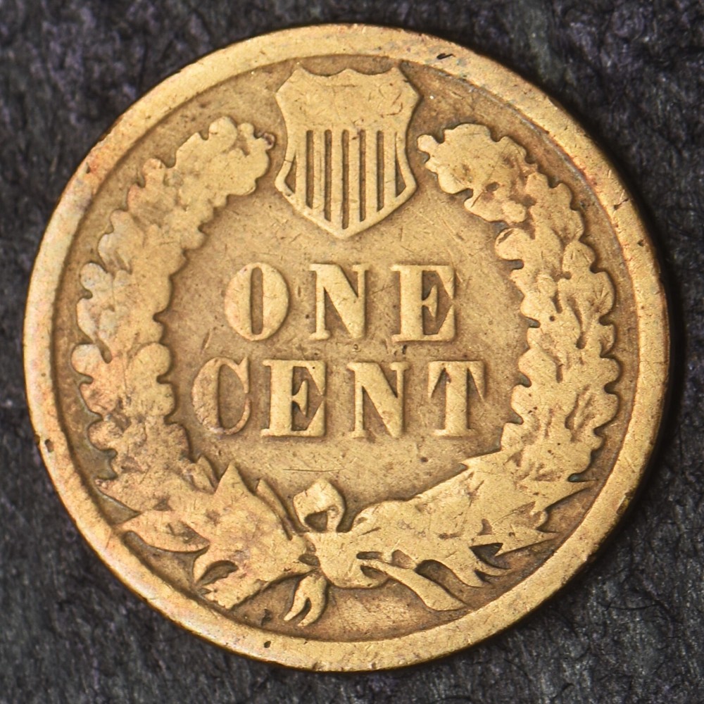 1881 Indian Head Cent 1C- COINGIANTS -