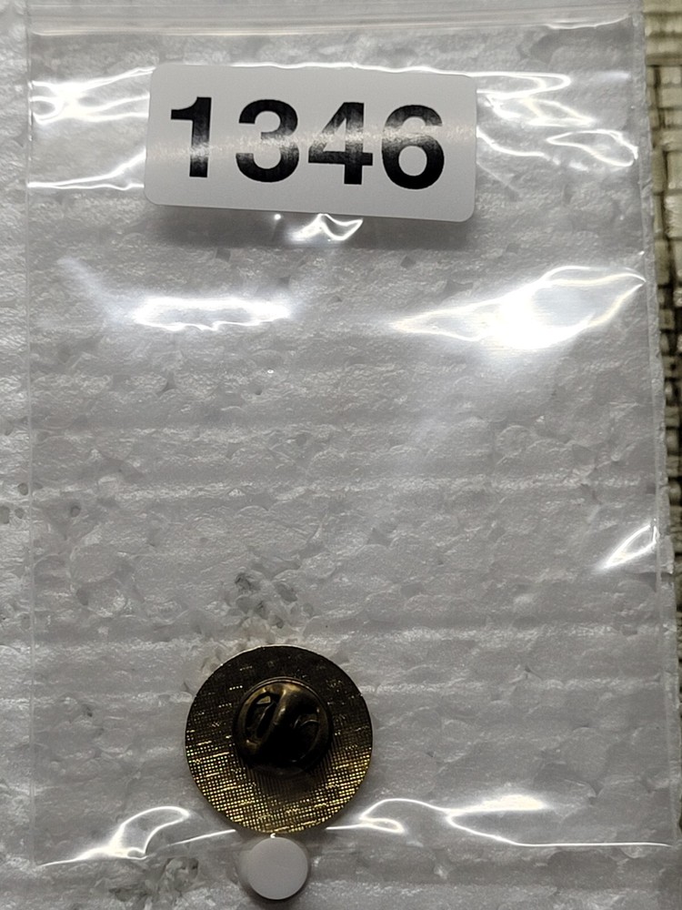 ELKS BIDDEFORD SACO MAINE HAT LAPEL PIN PIN BACK USED (M1346)