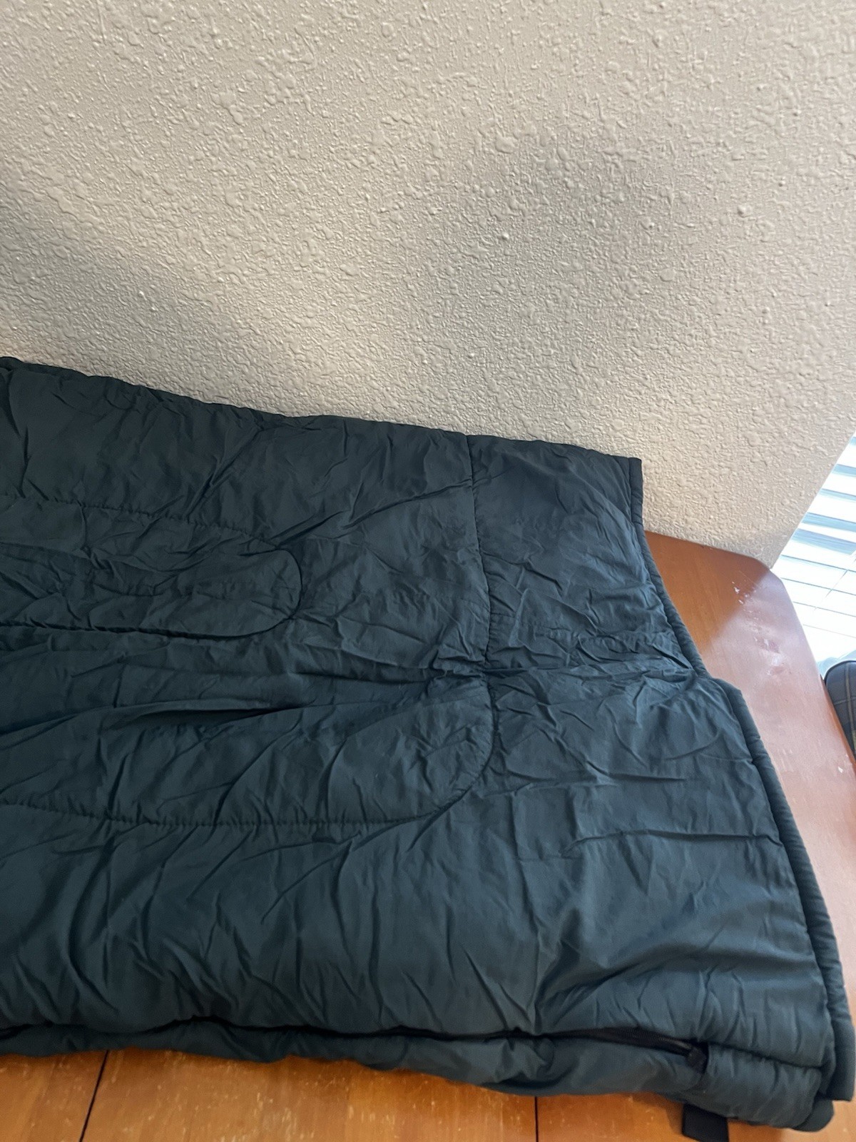 LL Bean 20° Camp Bag Sleeping Bag Green Gray Camping Sleeping With Container