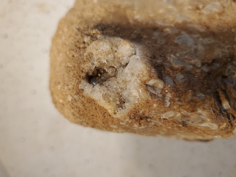 About 11 pound 14 oz Triangular Densely Packed Fossilized Shells Rock thatStands