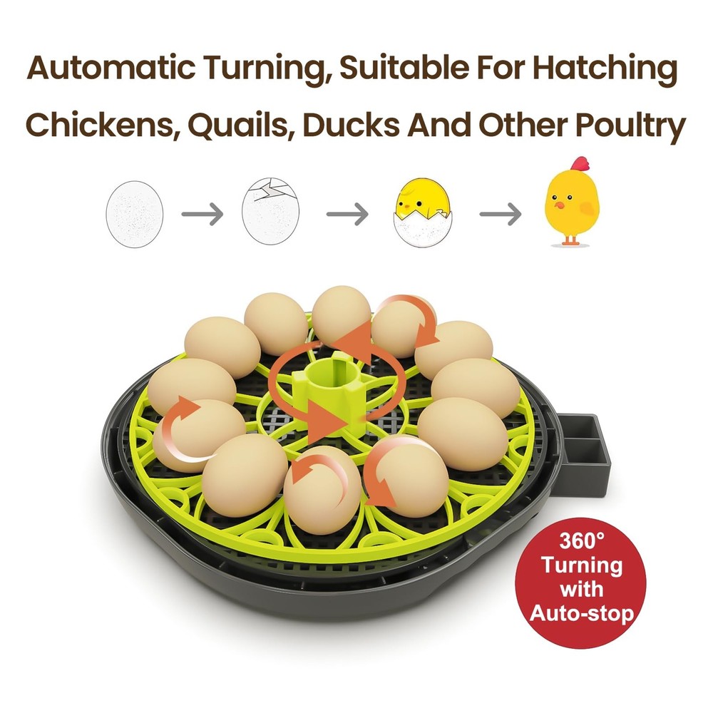 Incubators for Hatching Eggs 12 Egg Incubator w/Automatic Egg Turning & Humidity