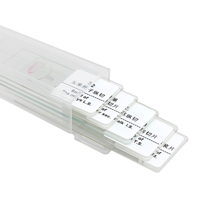 5 Pcs Mixed Microscope Prepared Slide Biological Teaching Studying Children Gift