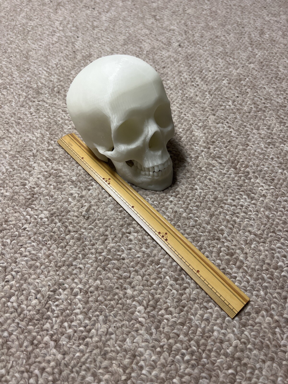 Glow In the Dark Human Skull! (Good Quality:3DP:White-PLA) GREEN OR BLUE GLOW!