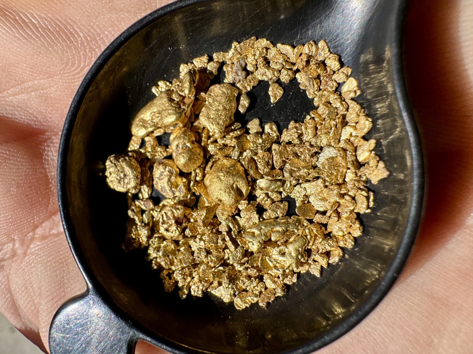 Presidential 10 Gram Gold Nugget Hunt Rich Unsearched Paydirt With Added Gold