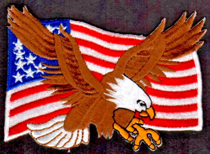 Awesome US Flag Patch Flying Bald Eagle