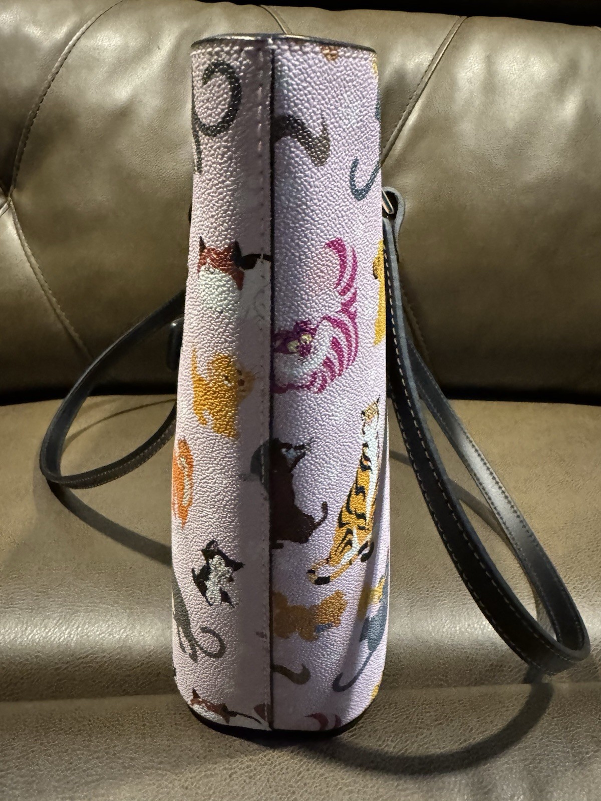 NWT Disney Dooney & Bourke 2024 Cats Large Pink H Shopper Tote EXACT ITEM NEW