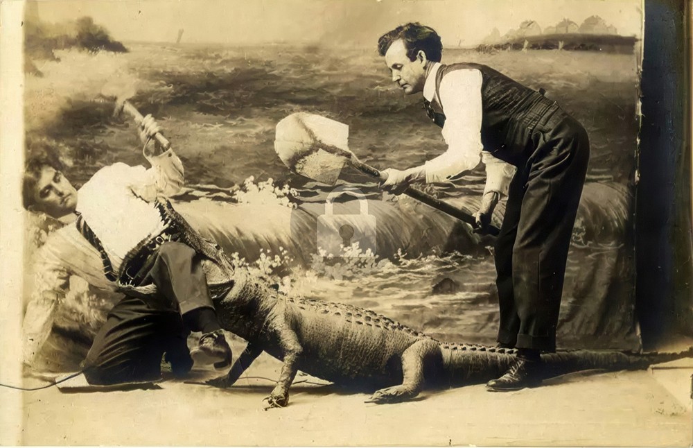 Studio Alligator Attack 1910 RPPC Postcard COPY
