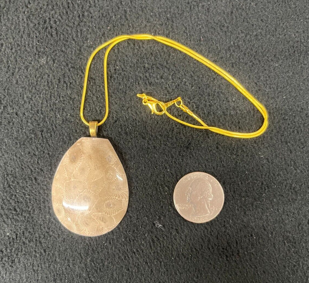 Petoskey Stone Pendant Michigan