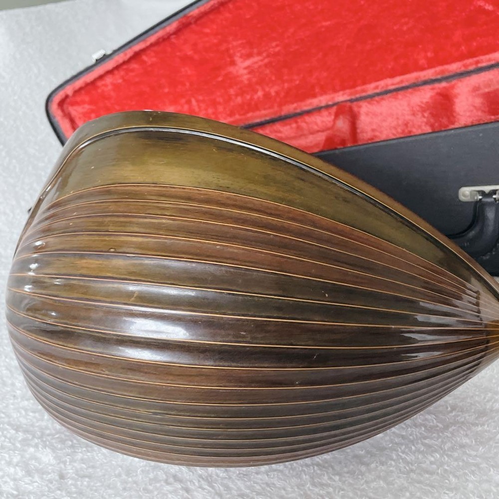 SUZUKI Mandolin M-60 with hard case