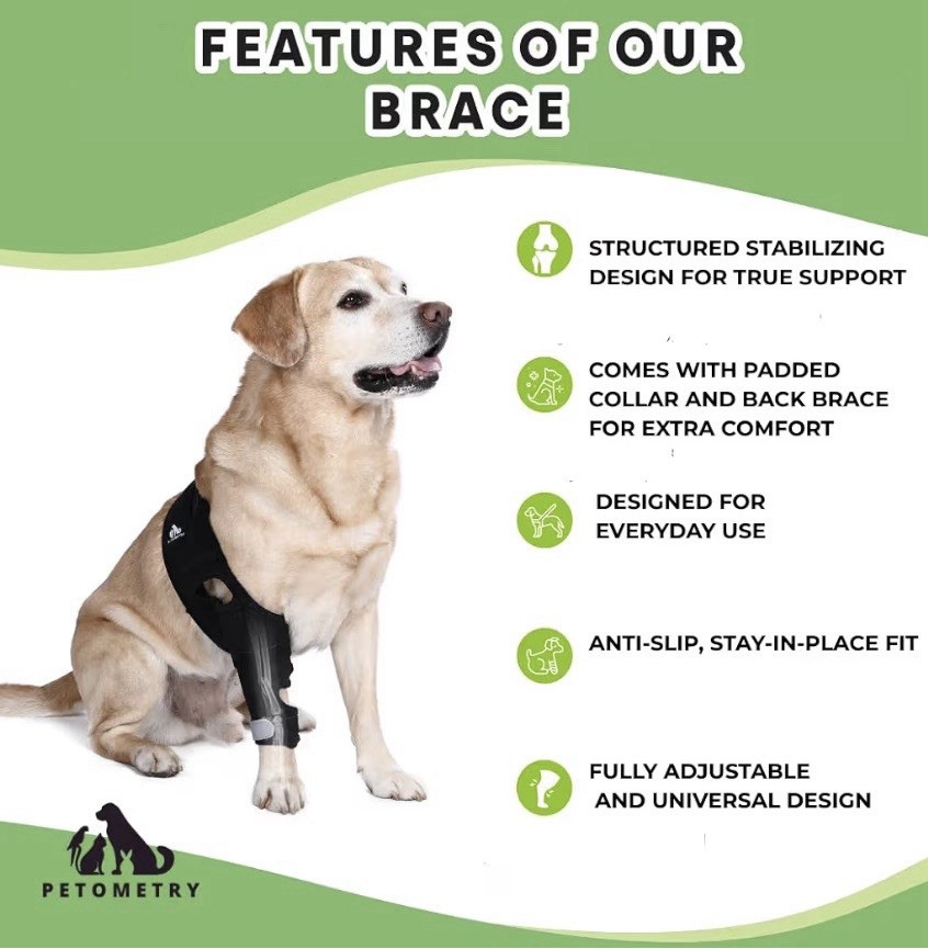 Petometry Dog Knee Brace Medium ACL CCL Support w/ Hot Cold Pack Adjustable