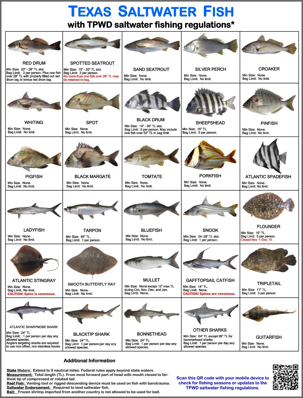 Saltwater Fish ID and Regulations Jumbo Card - Texas