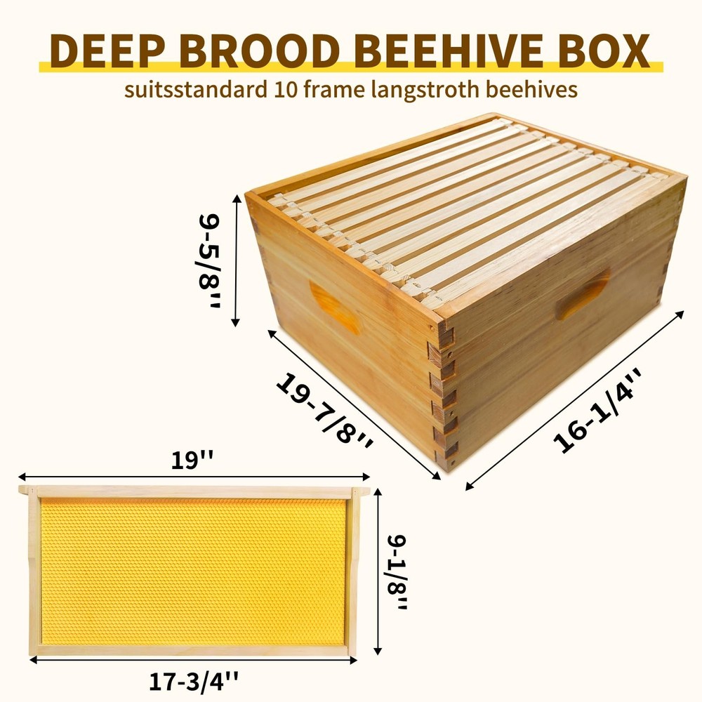 10 Frame Deep Brood Box Langstroth Bee Hive Box Dipped in Beeswax, Sections o...