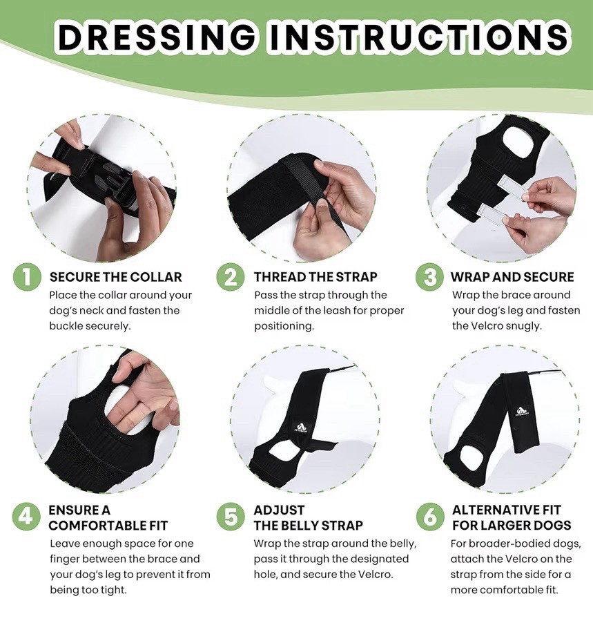 Petometry Dog Knee Brace Medium ACL CCL Support w/ Hot Cold Pack Adjustable