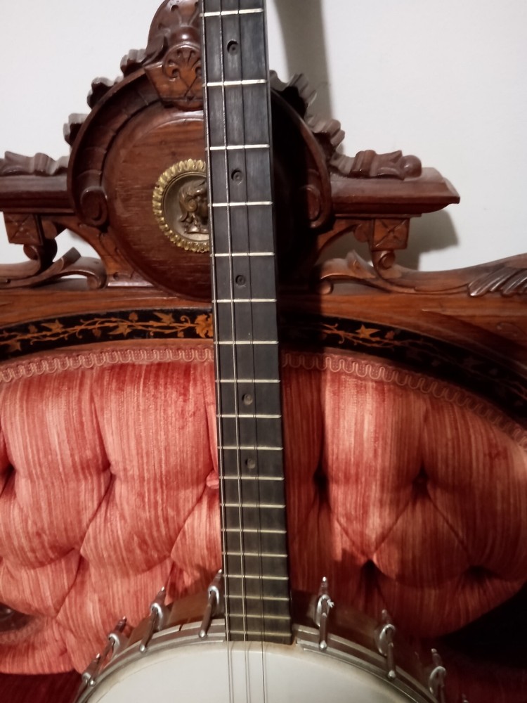 Open Back Tenor Banjo Four Strings