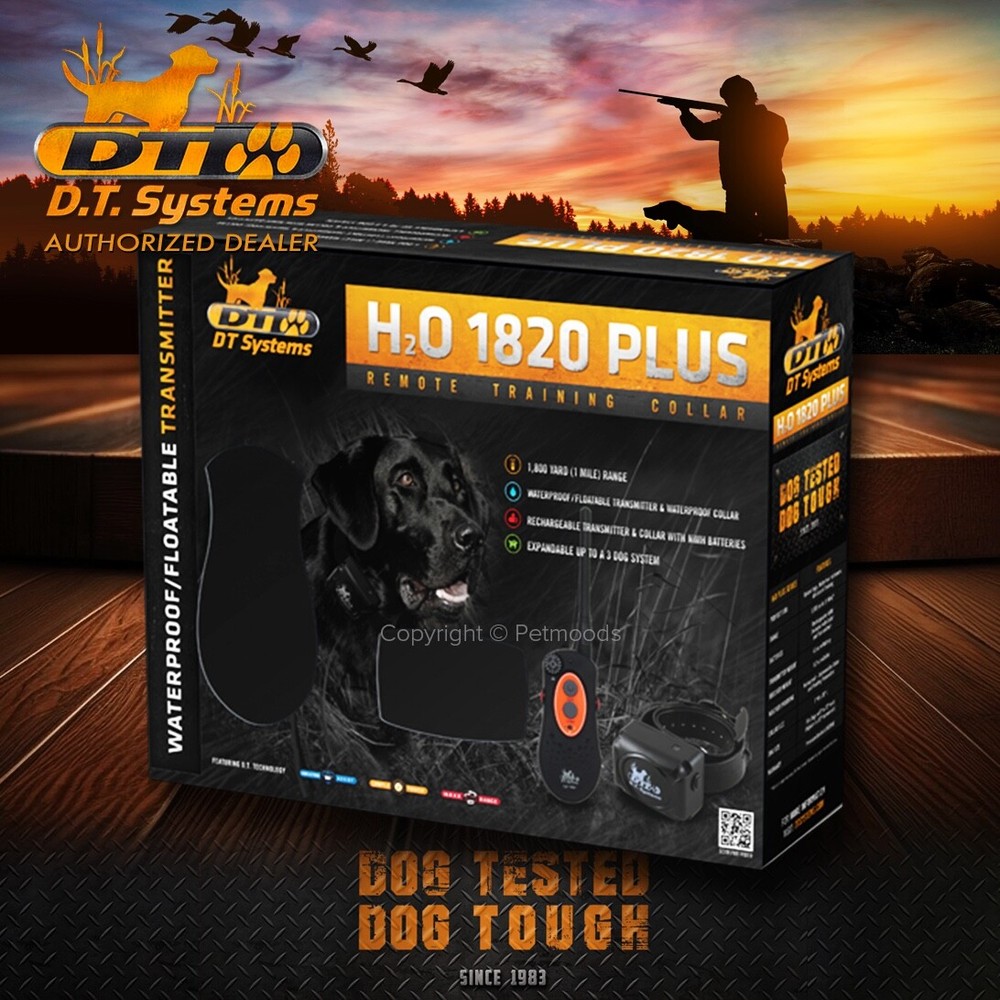 DT Systems H2O 1820 PLUS Expandable Dog Remote Trainer