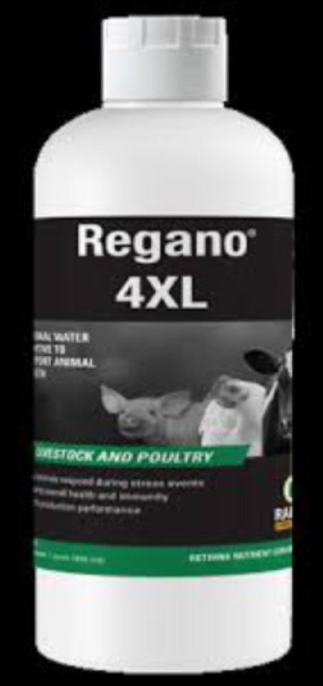 Ralco Regano 4XL